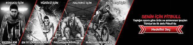 fitbull.com banner