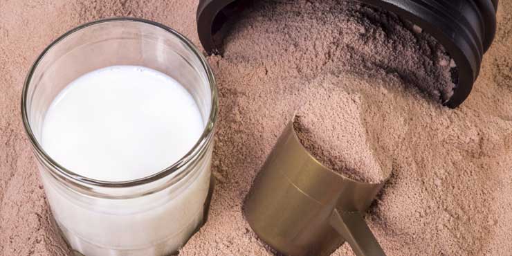 Whey Protein mi, Kazein Protein mi?